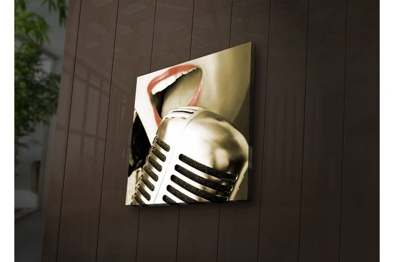Canvasbilde Dekorativ LED-belysning - Flerfarget - Interiør - Maleri & posters - Lerretsbilder