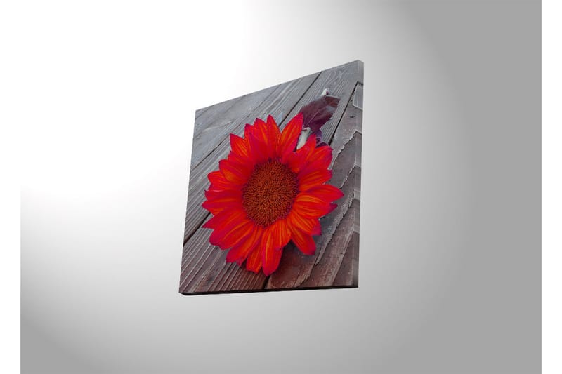 Canvasbilde Dekorativ LED-belysning - Flerfarget - Interiør - Maleri & posters - Lerretsbilder