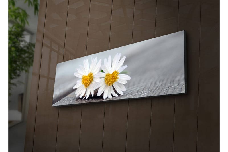 Canvasbilde Dekorativ LED-belysning - Flerfarget - Interiør - Maleri & posters - Lerretsbilder
