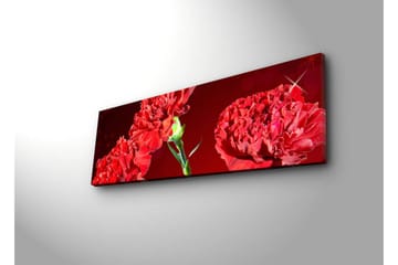 Canvasbilde Dekorativ LED-belysning - Flerfarget - Interiør - Maleri & posters - Lerretsbilder