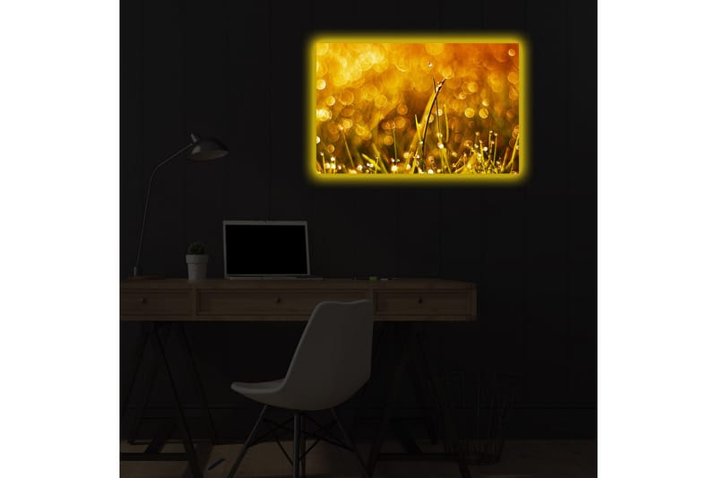 Canvasbilde Dekorativ LED-belysning - Flerfarget - Interiør - Maleri & posters - Lerretsbilder