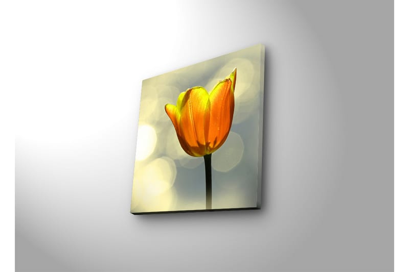 Canvasbilde Dekorativ LED-belysning - Flerfarget - Interiør - Maleri & posters - Lerretsbilder