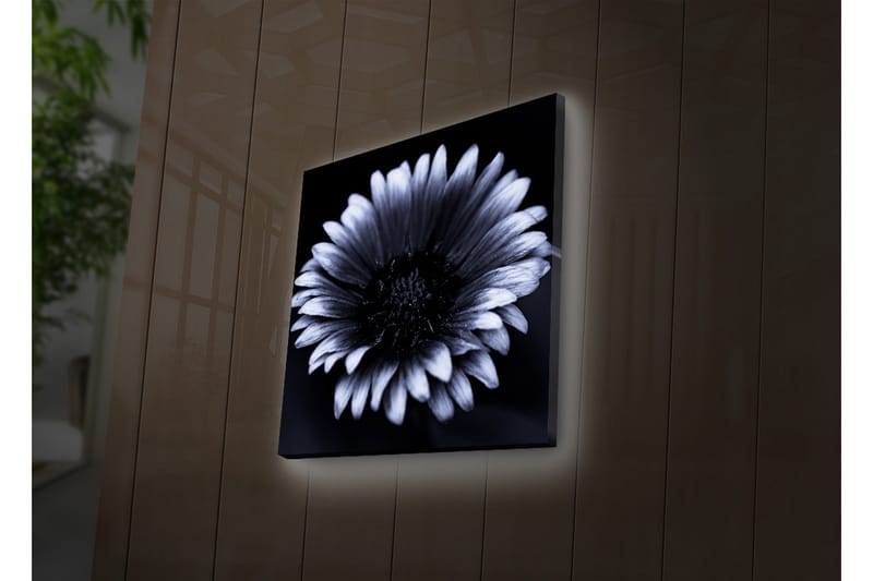 Canvasbilde Dekorativ LED-belysning - Flerfarget - Interiør - Maleri & posters - Lerretsbilder