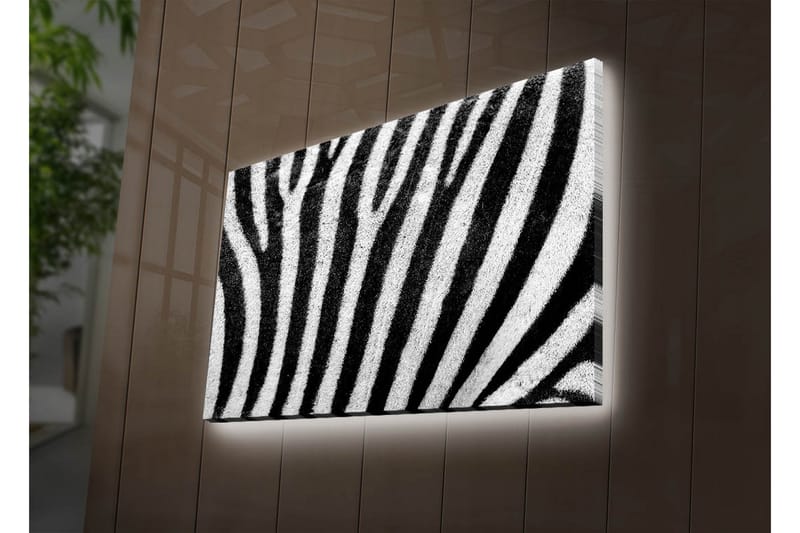 Canvasbilde Dekorativ LED-belysning - Flerfarget - Interiør - Maleri & posters - Lerretsbilder