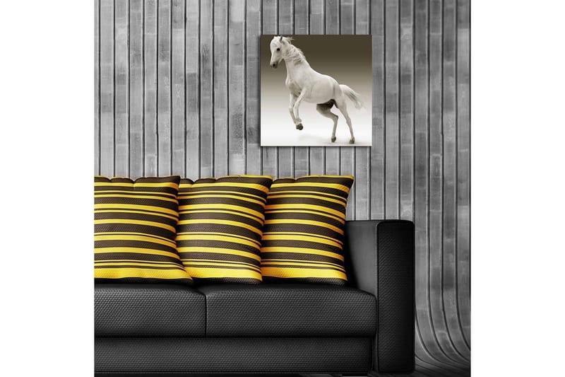 Canvasbilde Dekorativ LED-belysning - Flerfarget - Interiør - Maleri & posters - Lerretsbilder