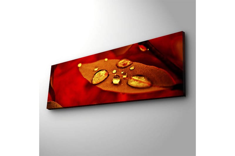 Canvasbilde Dekorativ LED-belysning - Flerfarget - Interiør - Maleri & posters - Lerretsbilder
