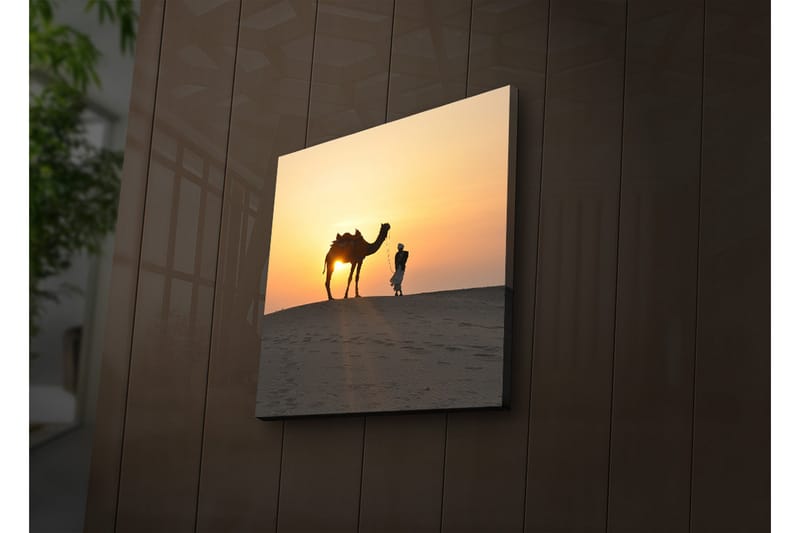 Canvasbilde Dekorativ LED-belysning - Flerfarget - Interiør - Maleri & posters - Lerretsbilder