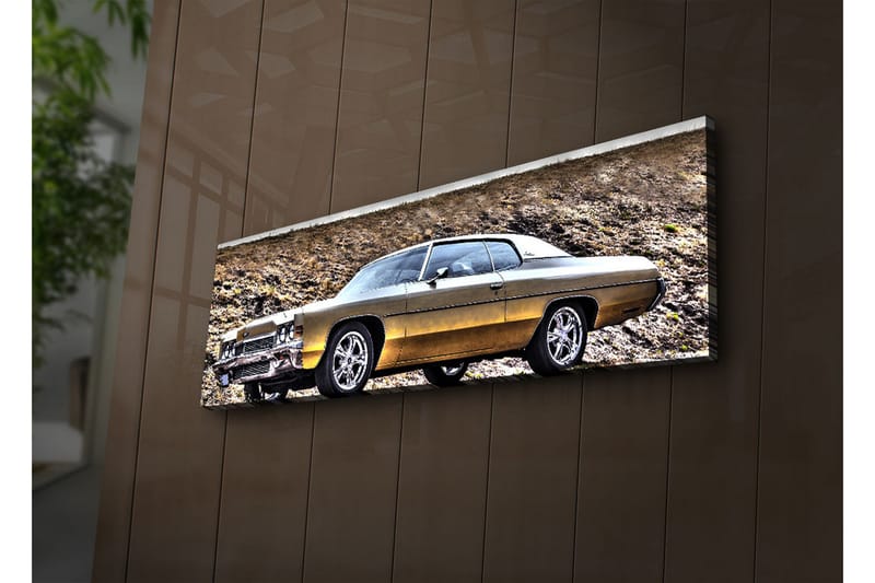 Canvasbilde Dekorativ LED-belysning - Flerfarget - Interiør - Maleri & posters - Lerretsbilder