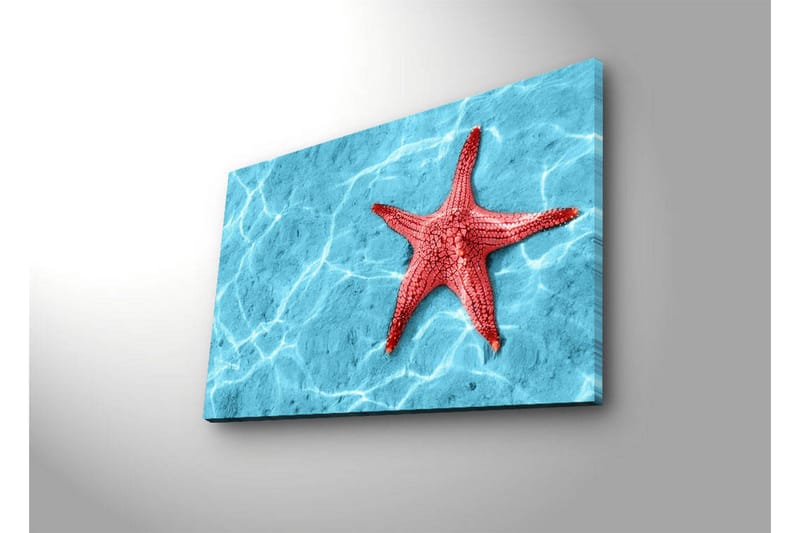Canvasbilde Dekorativ LED-belysning - Flerfarget - Interiør - Maleri & posters - Lerretsbilder