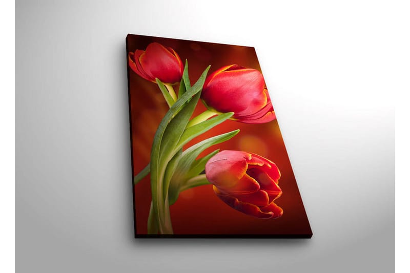 Canvasbilde Dekorativ LED-belysning - Flerfarget - Interiør - Maleri & posters - Lerretsbilder