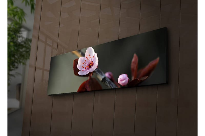 Canvasbilde Dekorativ LED-belysning - Flerfarget - Interiør - Maleri & posters - Lerretsbilder