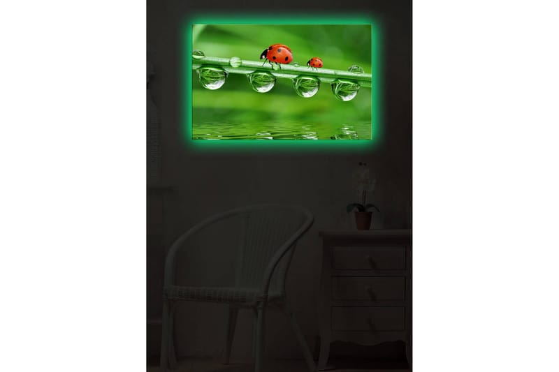 Canvasbilde Dekorativ LED-belysning - Flerfarget - Interiør - Maleri & posters - Lerretsbilder
