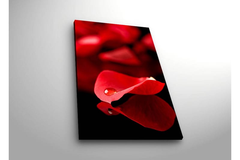Canvasbilde Dekorativ LED-belysning - Flerfarget - Interiør - Maleri & posters - Lerretsbilder