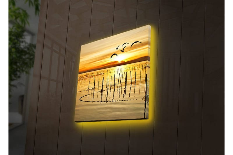 Canvasbilde Dekorativ LED-belysning - Flerfarget - Interiør - Maleri & posters - Lerretsbilder