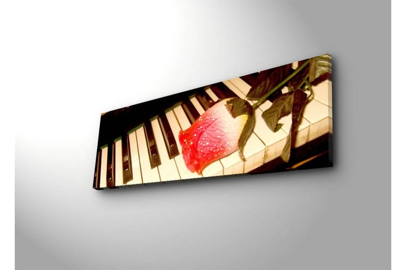 Canvasbilde Dekorativ LED-belysning - Flerfarget - Interiør - Maleri & posters - Lerretsbilder