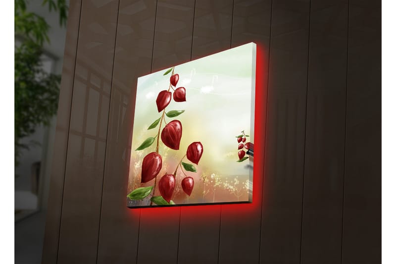 Canvasbilde Dekorativ LED-belysning - Flerfarget - Interiør - Maleri & posters - Lerretsbilder