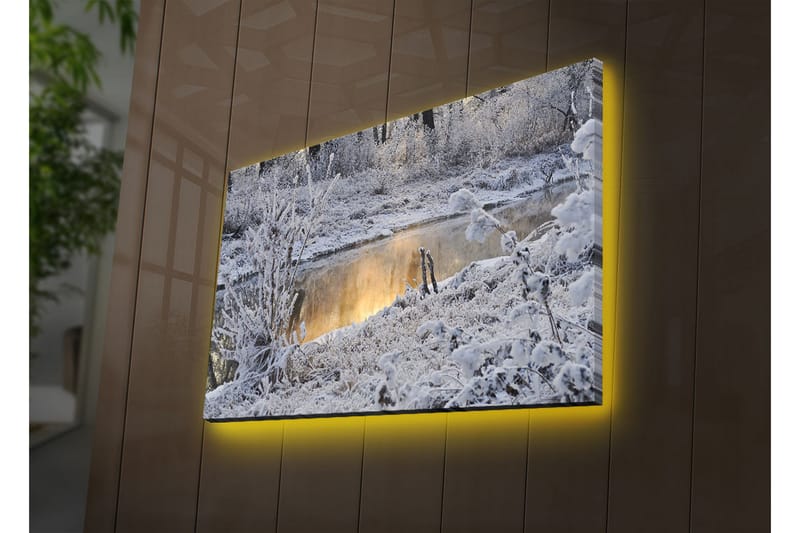 Canvasbilde Dekorativ LED-belysning - Flerfarget - Interiør - Maleri & posters - Lerretsbilder