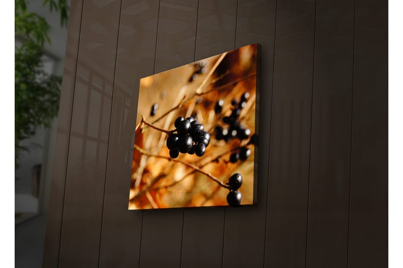 Canvasbilde Dekorativ LED-belysning - Flerfarget - Interiør - Maleri & posters - Lerretsbilder