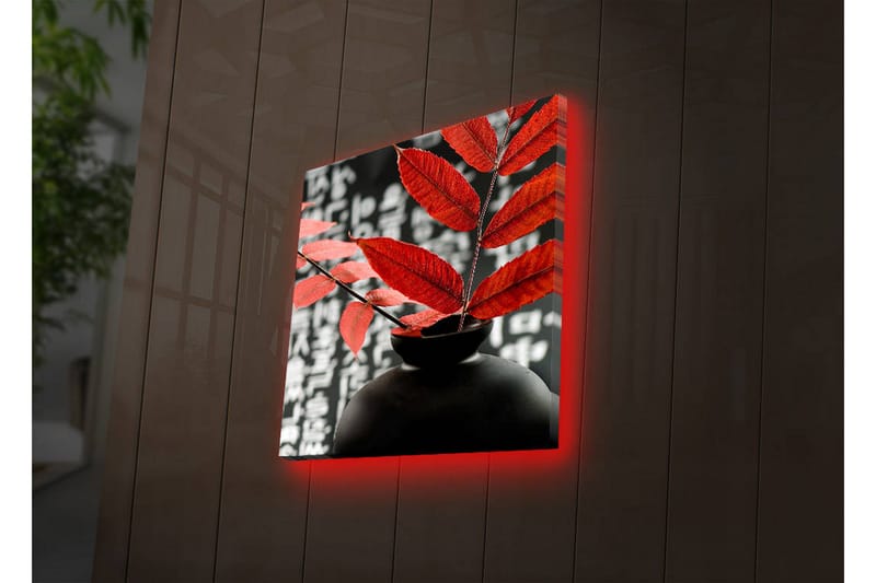 Canvasbilde Dekorativ LED-belysning - Flerfarget - Interiør - Maleri & posters - Lerretsbilder