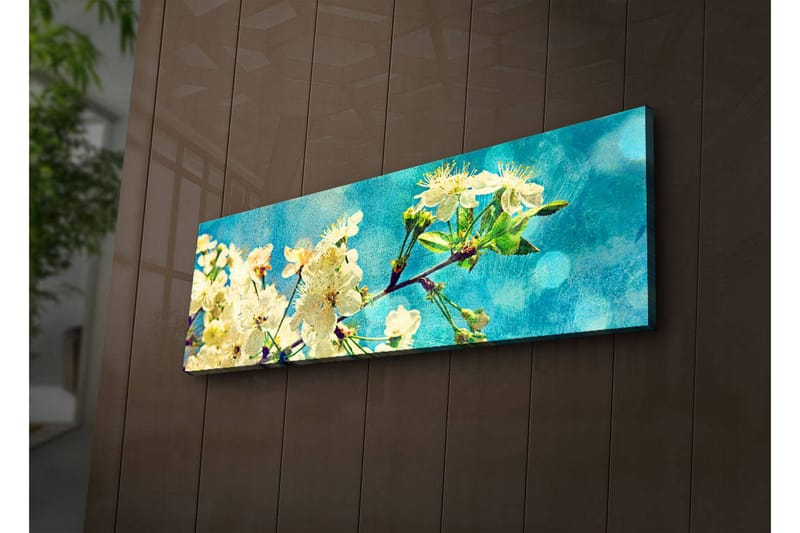 Canvasbilde Dekorativ LED-belysning - Flerfarget - Interiør - Maleri & posters - Lerretsbilder