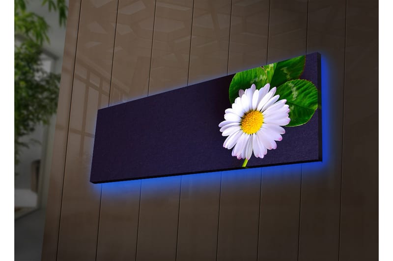 Canvasbilde Dekorativ LED-belysning - Flerfarget - Interiør - Maleri & posters - Lerretsbilder