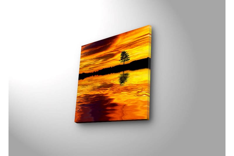 Canvasbilde Dekorativ LED-belysning - Flerfarget - Interiør - Maleri & posters - Lerretsbilder