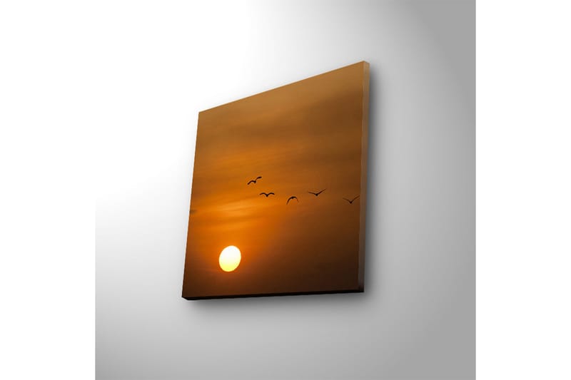 Canvasbilde Dekorativ LED-belysning - Flerfarget - Interiør - Maleri & posters - Lerretsbilder