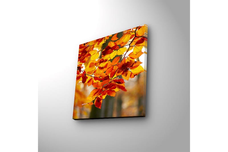 Canvasbilde Dekorativ LED-belysning - Flerfarget - Interiør - Maleri & posters - Lerretsbilder