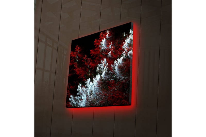 Canvasbilde Dekorativ LED-belysning - Flerfarget - Interiør - Maleri & posters - Lerretsbilder