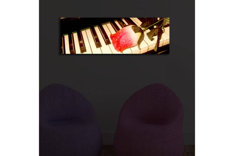Canvasbilde Dekorativ LED-belysning - Flerfarget - Interiør - Maleri & posters - Lerretsbilder
