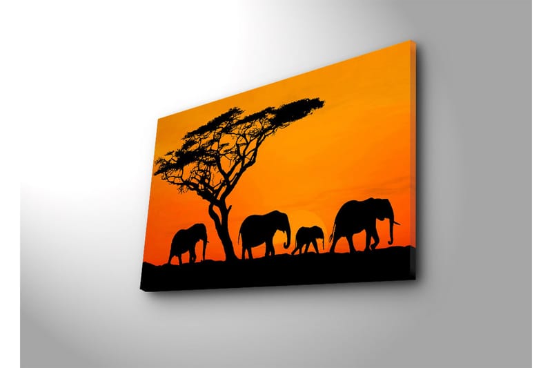 Canvasbilde Dekorativ LED-belysning - Flerfarget - Interiør - Maleri & posters - Lerretsbilder