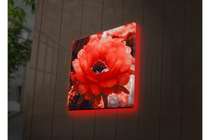Canvasbilde Dekorativ LED-belysning - Flerfarget - Interiør - Maleri & posters - Lerretsbilder