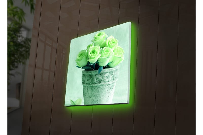 Canvasbilde Dekorativ LED-belysning - Flerfarget - Interiør - Maleri & posters - Lerretsbilder