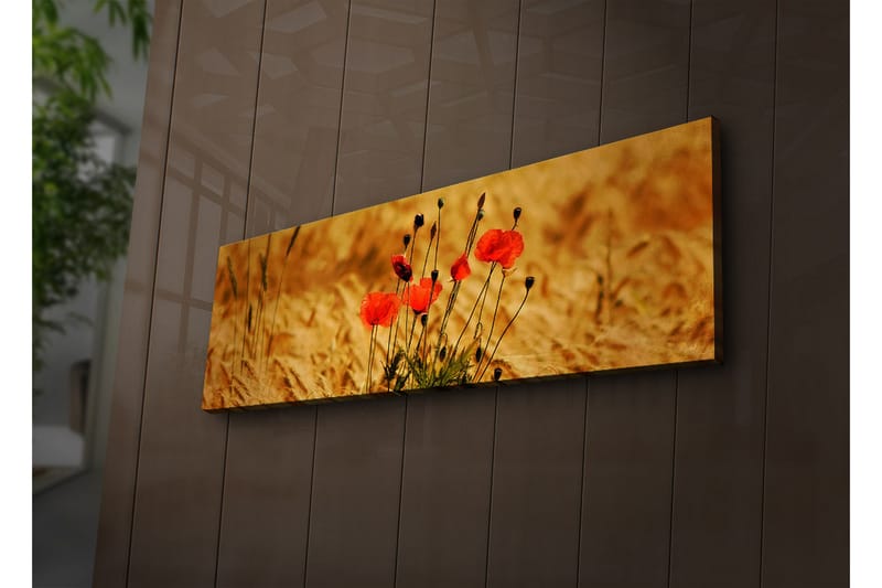 Canvasbilde Dekorativ LED-belysning - Flerfarget - Interiør - Maleri & posters - Lerretsbilder