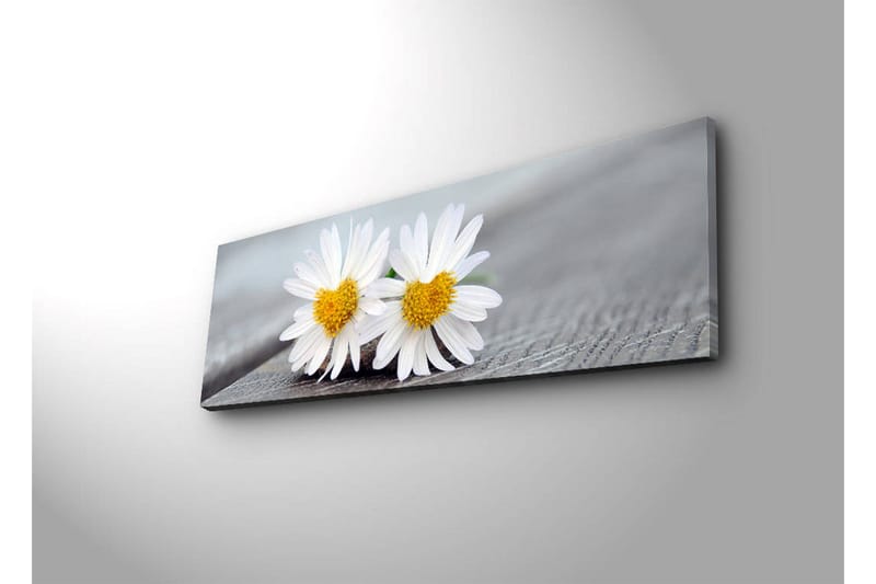 Canvasbilde Dekorativ LED-belysning - Flerfarget - Interiør - Maleri & posters - Lerretsbilder