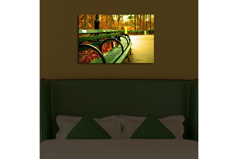 Canvasbilde Dekorativ LED-belysning - Flerfarget - Interiør - Maleri & posters - Lerretsbilder