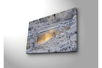 Canvasbilde Dekorativ LED-belysning - Flerfarget - Interiør - Maleri & posters - Lerretsbilder