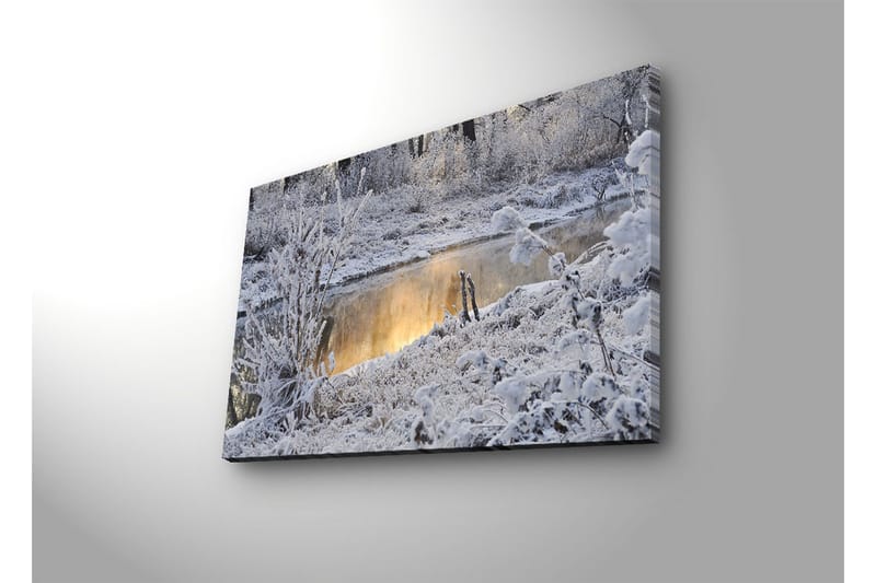 Canvasbilde Dekorativ LED-belysning - Flerfarget - Interiør - Maleri & posters - Lerretsbilder