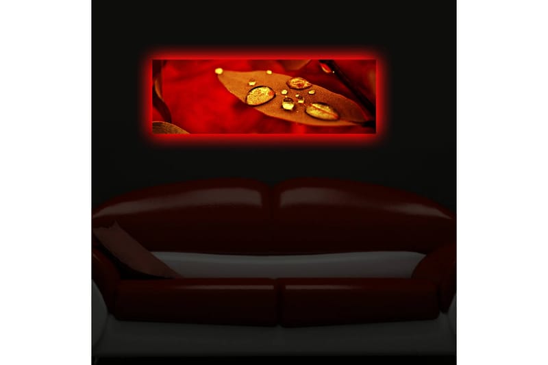 Canvasbilde Dekorativ LED-belysning - Flerfarget - Interiør - Maleri & posters - Lerretsbilder