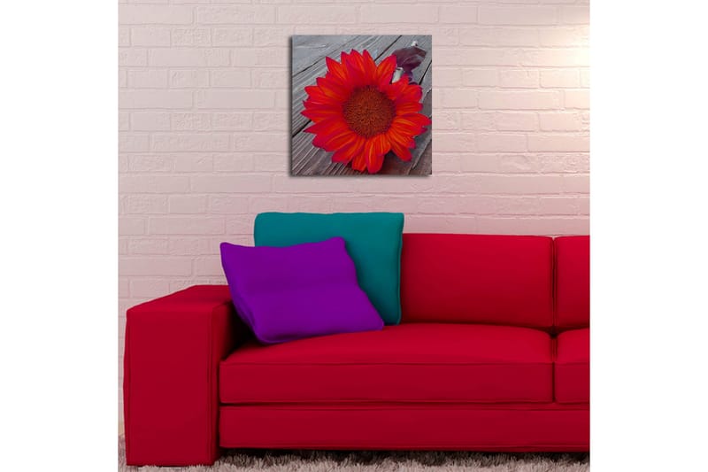 Canvasbilde Dekorativ LED-belysning - Flerfarget - Interiør - Maleri & posters - Lerretsbilder