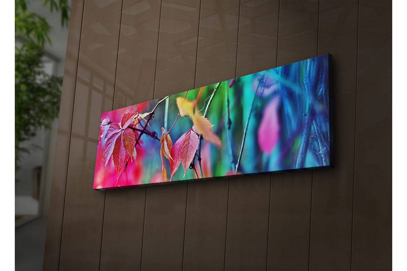 Canvasbilde Dekorativ LED-belysning - Flerfarget - Interiør - Maleri & posters - Lerretsbilder