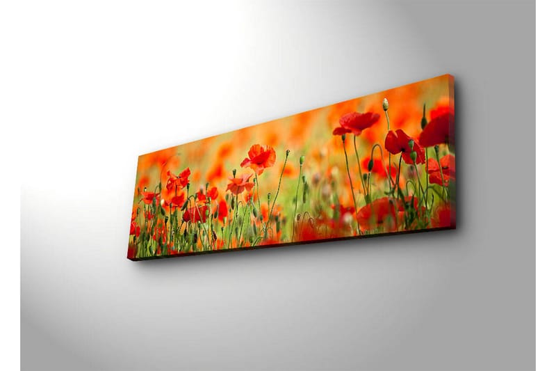 Canvasbilde Dekorativ LED-belysning - Flerfarget - Interiør - Maleri & posters - Lerretsbilder