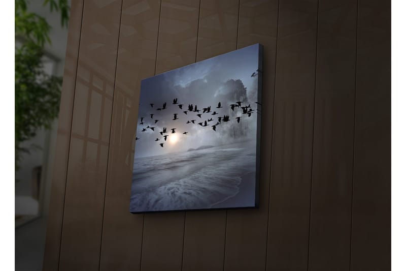 Canvasbilde Dekorativ LED-belysning - Flerfarget - Interiør - Maleri & posters - Lerretsbilder