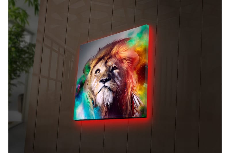 Canvasbilde Dekorativ LED-belysning - Flerfarget - Interiør - Maleri & posters - Lerretsbilder