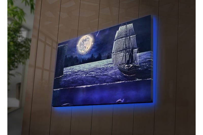 Canvasbilde Dekorativ LED-belysning - Flerfarget - Interiør - Maleri & posters - Lerretsbilder
