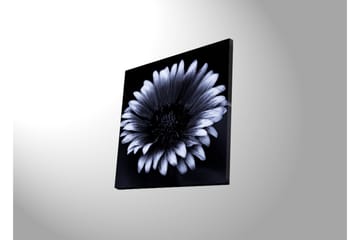 Canvasbilde Dekorativ LED-belysning - Flerfarget - Interiør - Maleri & posters - Lerretsbilder