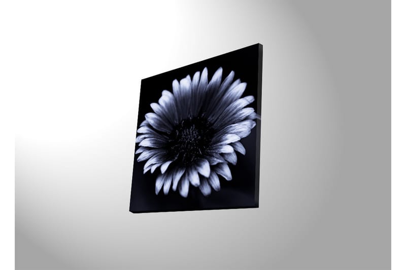 Canvasbilde Dekorativ LED-belysning - Flerfarget - Interiør - Maleri & posters - Lerretsbilder
