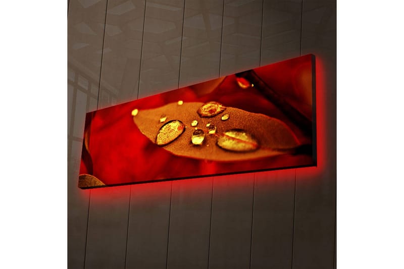 Canvasbilde Dekorativ LED-belysning - Flerfarget - Interiør - Maleri & posters - Lerretsbilder