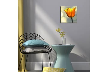 Canvasbilde Dekorativ LED-belysning - Flerfarget - Interiør - Maleri & posters - Lerretsbilder