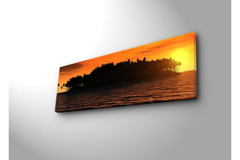 Canvasbilde Dekorativ LED-belysning - Flerfarget - Interiør - Maleri & posters - Lerretsbilder